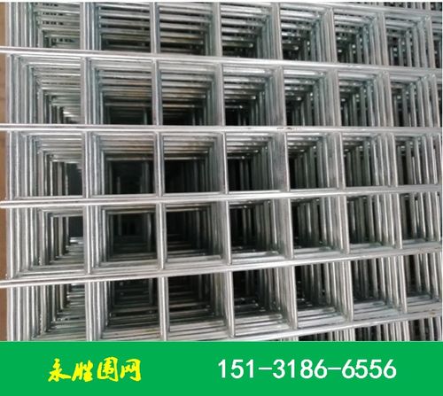 小方孔镀锌鸽棚围网产品展示