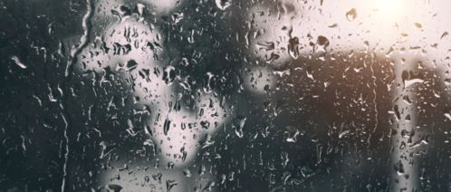 中雨 雷阵雨 河北11市雨雨雨开始 石家庄 保定 唐山 廊坊