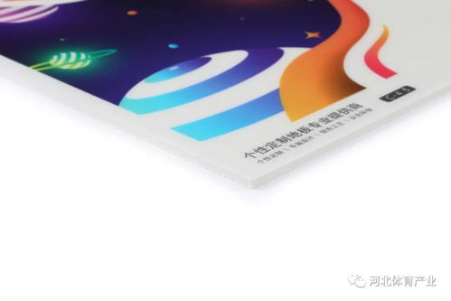 河北体育用品制造十佳品牌 英利奥
