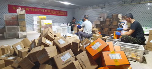 河北阳原特产 阳昀 干果京东48小时销售过万袋