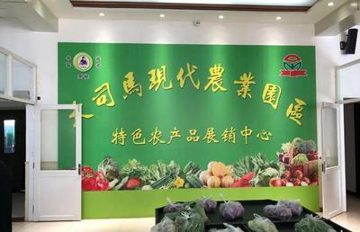 【镇街时间】安丘市金冢子镇赴北京、河北等地考察学习特色农业产业发展